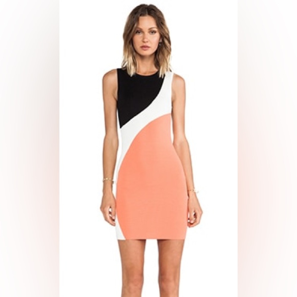 Torn by Ronny Kobo bodycon dress, size 0